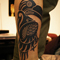 bird1