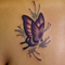 butterfly1
