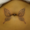 butterfly4