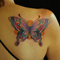 butterfly6