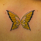 butterfly7
