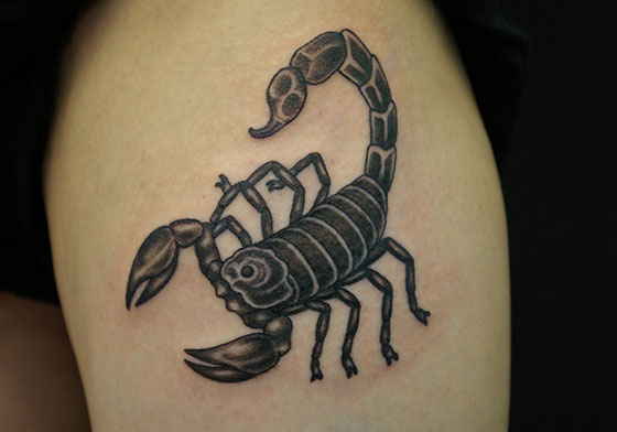蠍 サソリ スコーピオン のタトゥーの意味 大阪 タトゥースタジオ Lucky Round Tattoo 刺青