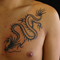 dragon2