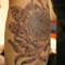 kiku1_left