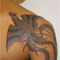 phoenix1