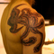 phoenix3_back