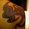 phoenix3_front