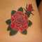 rose3