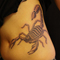 scorpion1