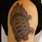 turtle1