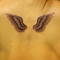 wing1