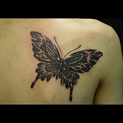 男性への蝶のタトゥー 25