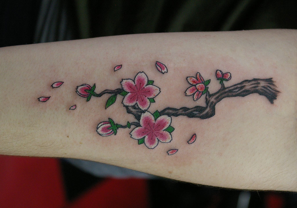 桜の花と木