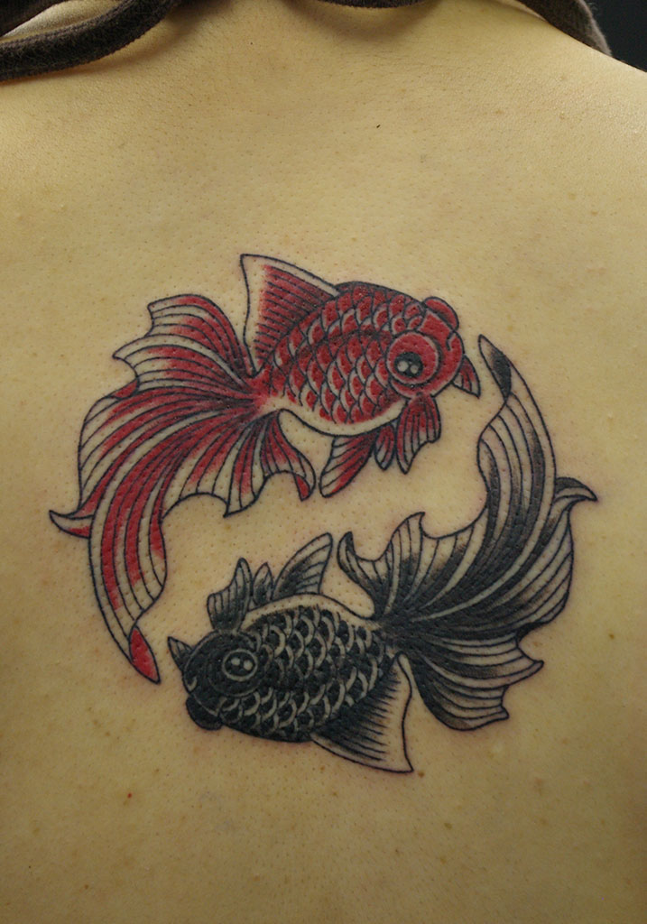 赤と黒の金魚