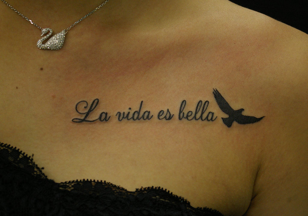スペイン語「La vida es bella」と鳥