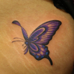 羽が可愛い紫の蝶