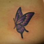 紫と黒色の蝶
