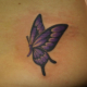 紫と黒色の蝶のタトゥー