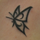 ラインの蝶のタッチアップのタトゥー