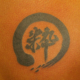 漢字「粋」のタトゥー
