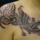 美しい尾の鳳凰のタトゥー