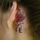 小さな薔薇とオールドイングリッシュのタトゥー