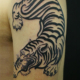 逞しい虎のトライバルのタトゥー