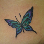 緑から紫グラデーションの蝶