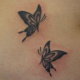 可愛い二頭の蝶のタトゥー