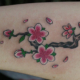 桜の花と木のタトゥー