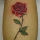 ふくらはぎの薔薇のタトゥー
