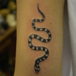 シマシマの蛇のタトゥー