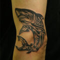 ホホジロザメのトライバルのタトゥー