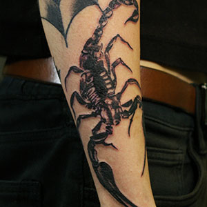 一匹のサソリのタトゥー